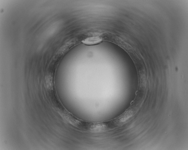 X0000073450274200608111358