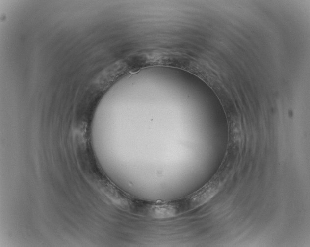 X0000073450275200608111358