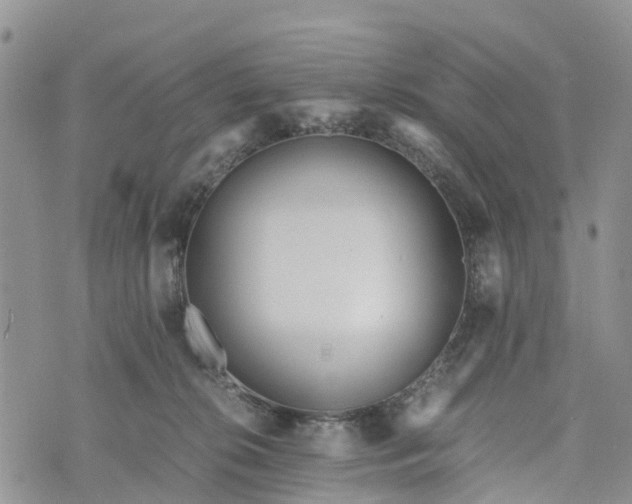 X0000073450276200608111358