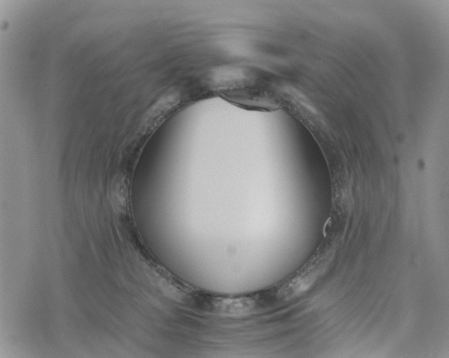 X0000073450277200608111358