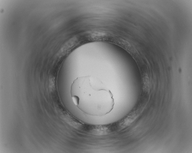 X0000073450278200608111358