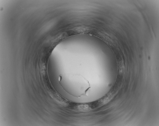 X0000073450279200608111358