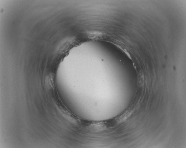 X0000073450280200608111358