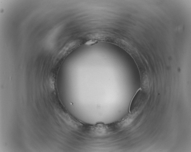 X0000073450282200608111358