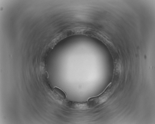 X0000073450283200608111358