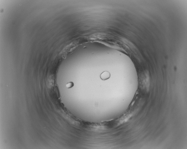 X0000073450284200608111358