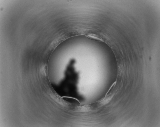 X0000073450286200608111358