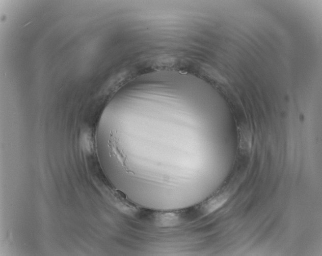 X0000073450287200608111358