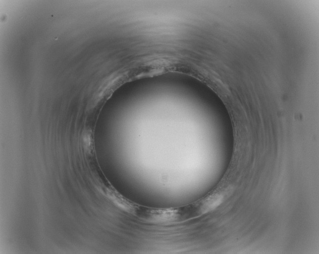 X0000073450288200608111358