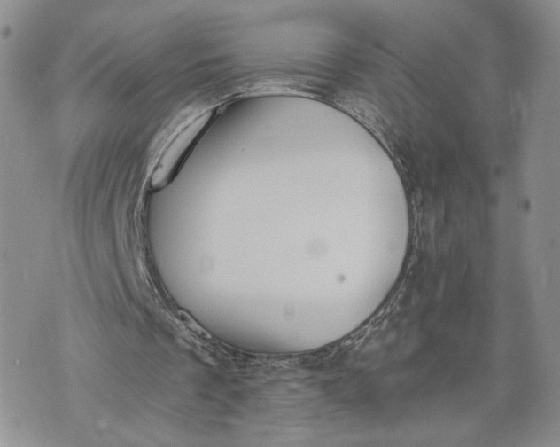 X0000073450289200608111357