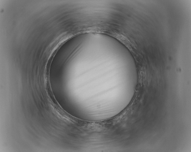 X0000073450290200608111357