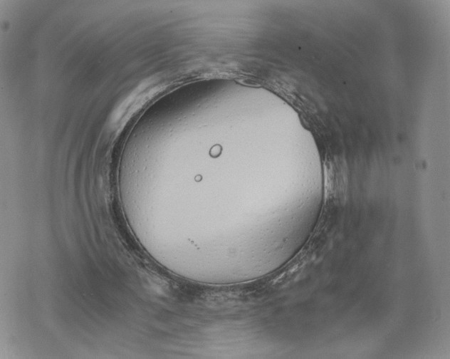 X0000073450291200608111357