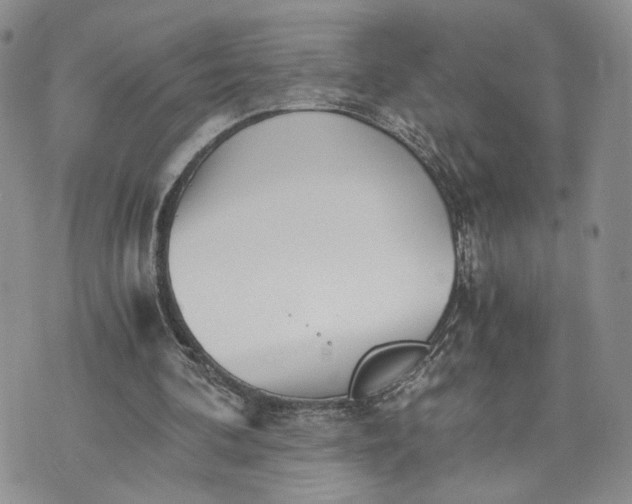 X0000073450292200608111357