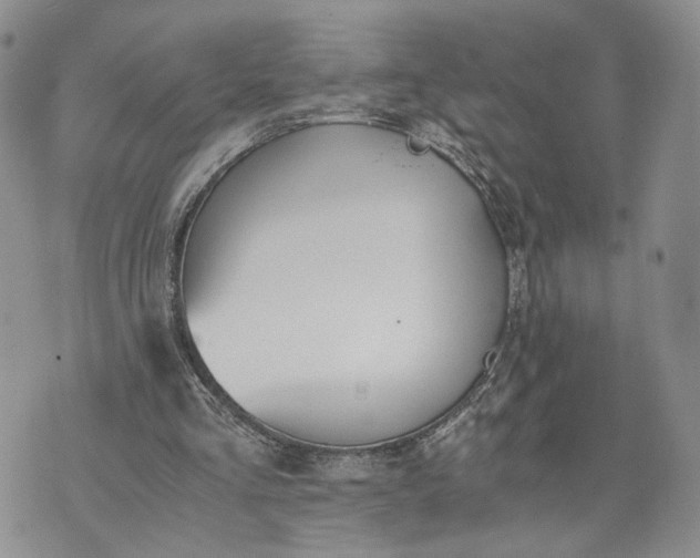 X0000073450293200608111357