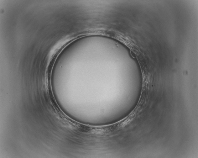 X0000073450294200608111357