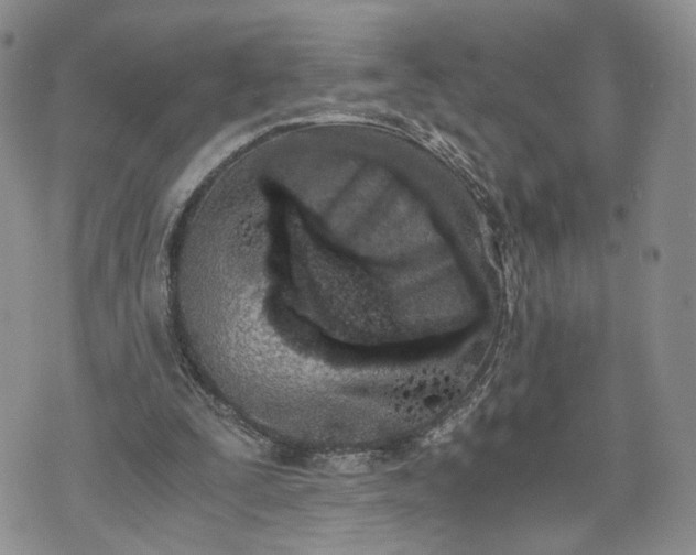 X0000073450295200608111357