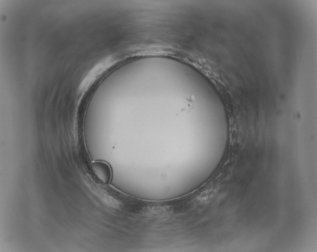 X0000073450296200608111357