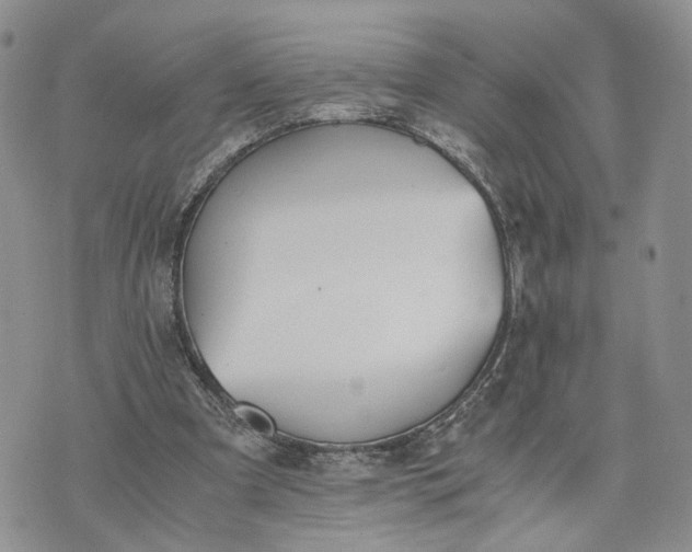 X0000073450297200608111357