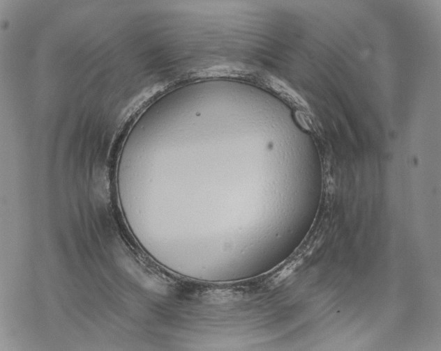 X0000073450298200608111357