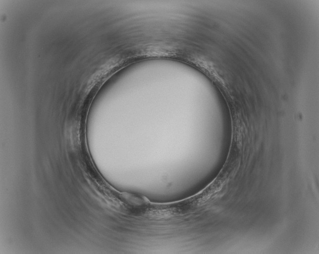 X0000073450299200608111357