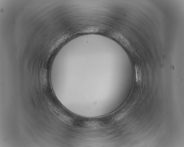 X0000073450300200608111357