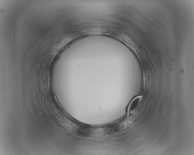 X0000073450301200608111357