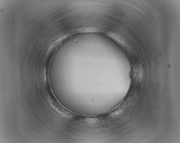 X0000073450302200608111357