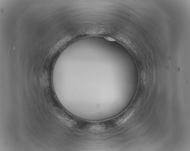 X0000073450303200608111357