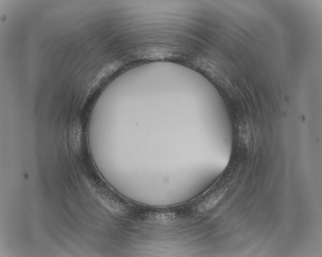 X0000073450304200608111357