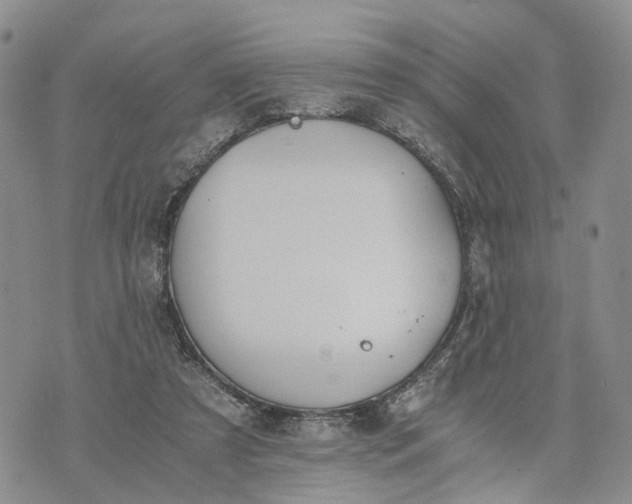 X0000073450305200608111357