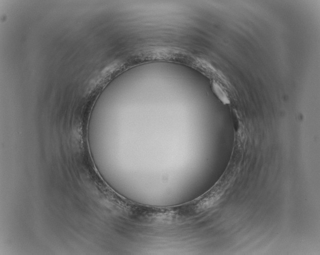 X0000073450306200608111357