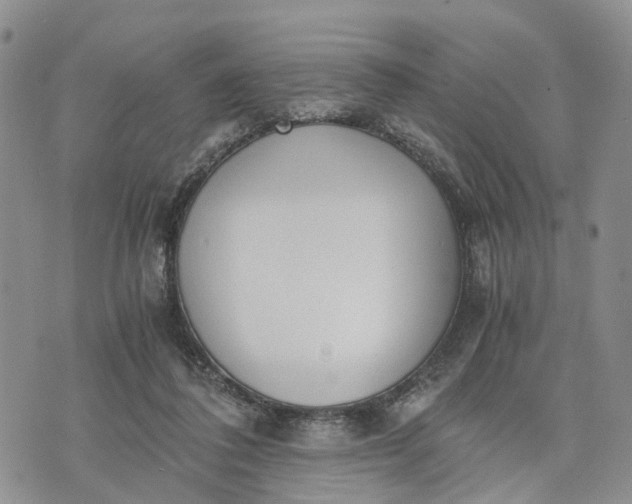 X0000073450308200608111357