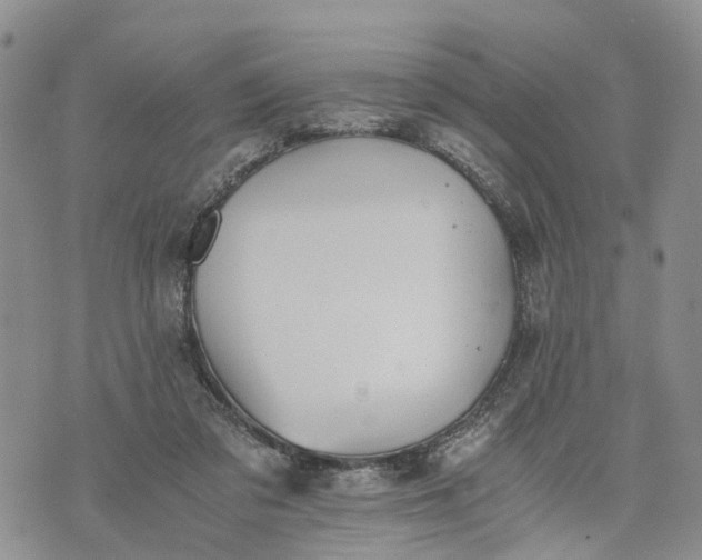 X0000073450309200608111357