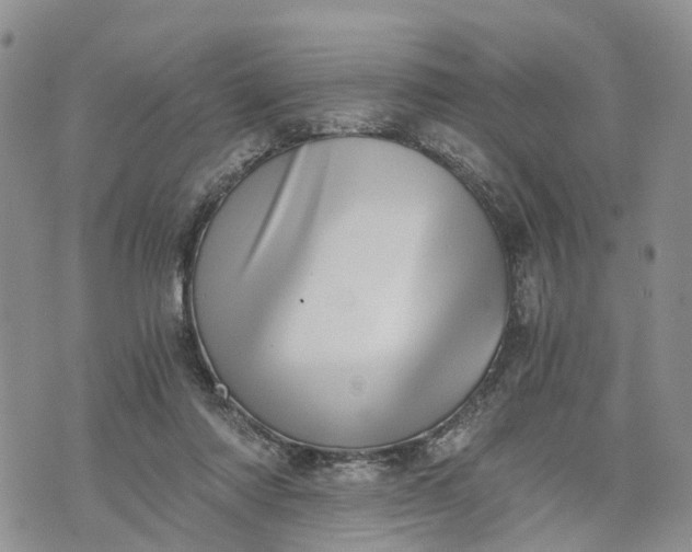 X0000073450310200608111357