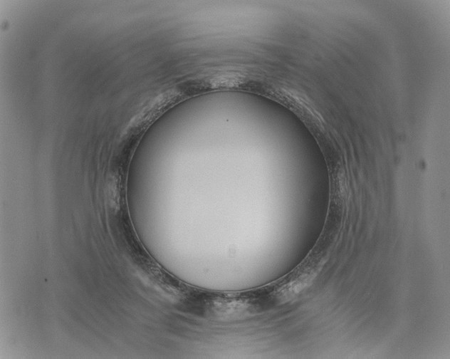 X0000073450311200608111357