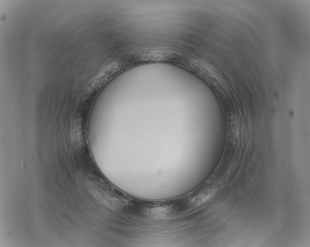 X0000073450312200608111357