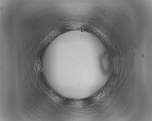 X0000073450313200608111357