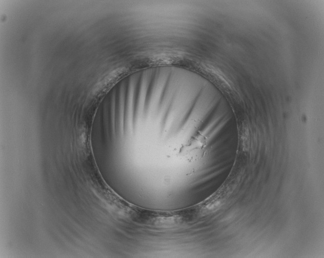 X0000073450314200608111357