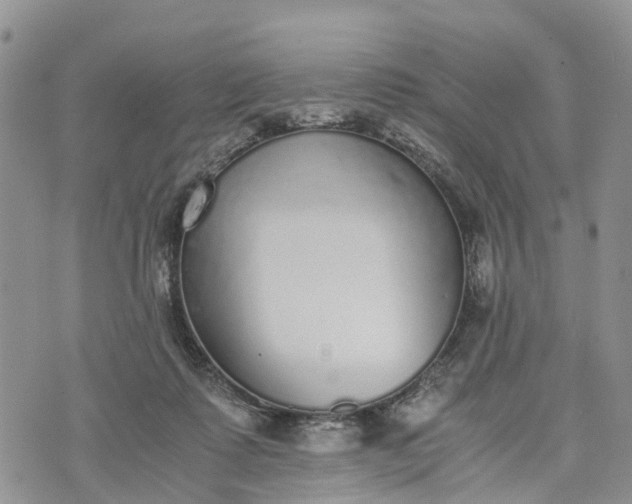 X0000073450315200608111357