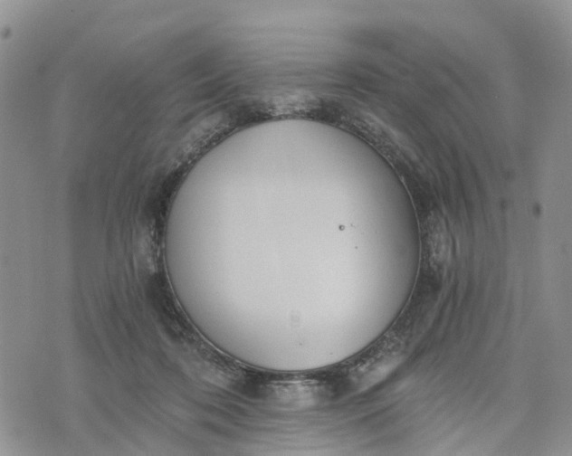 X0000073450316200608111357