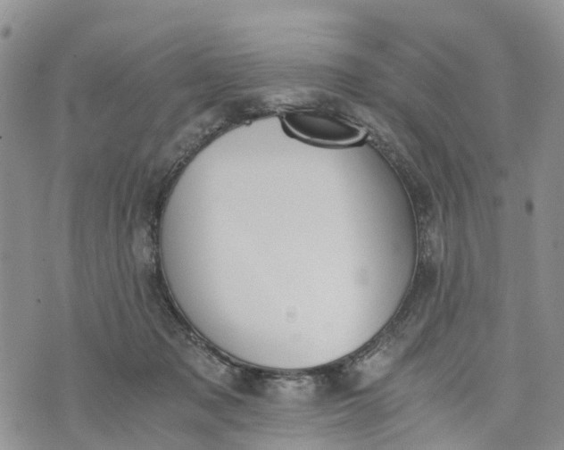 X0000073450317200608111357