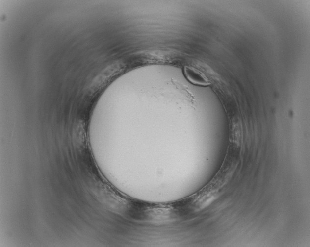 X0000073450318200608111357