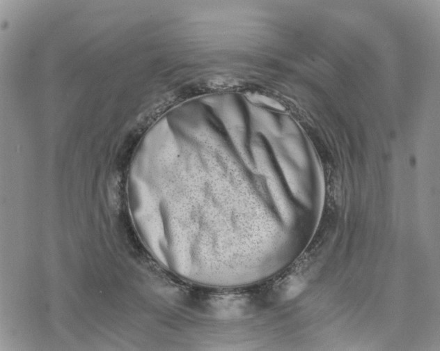 X0000073450319200608111357