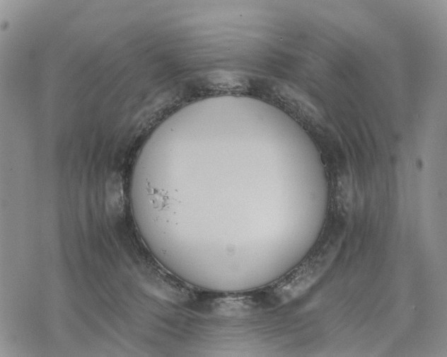 X0000073450320200608111356