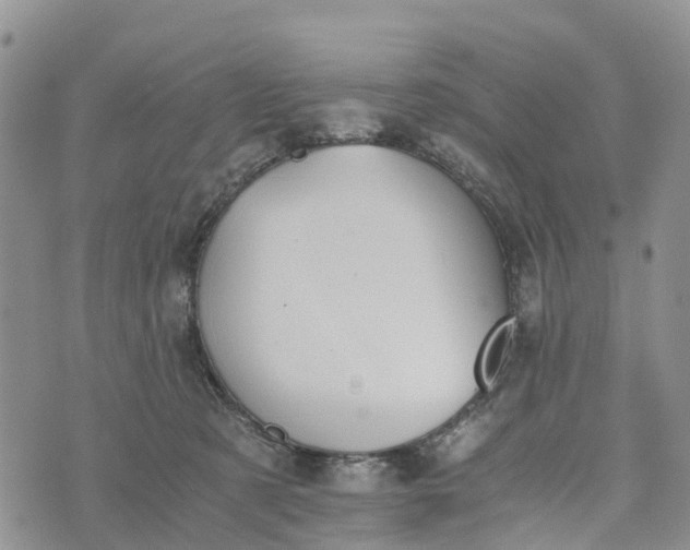 X0000073450321200608111356