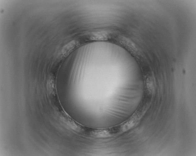 X0000073450322200608111356