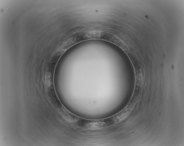 X0000073450323200608111356