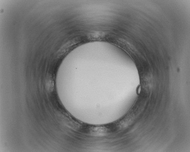 X0000073450324200608111356