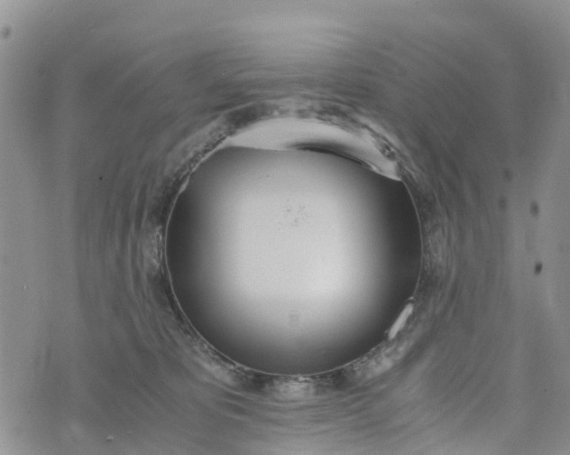 X0000073450325200608111356