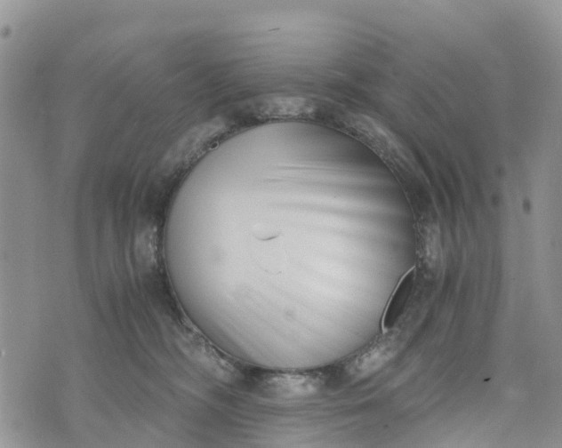 X0000073450326200608111356